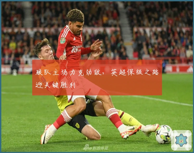 狼队主场力克劲敌，英超保级之路迎关键胜利